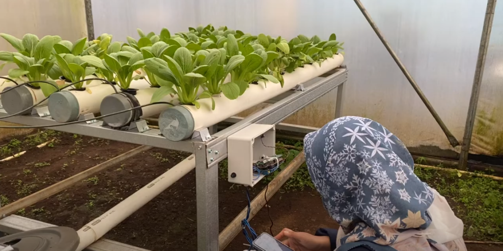 Implementing Smart Farming with Flux.id in Vegetable Gardens