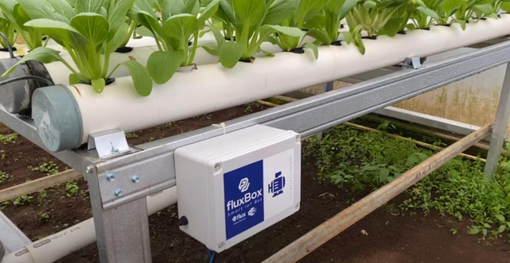 Implementing Smart Farming with Flux.id in Vegetable Gardens