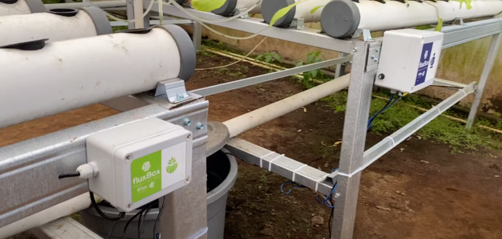 Implementing Smart Farming with Flux.id in Vegetable Gardens